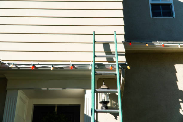 Best Fascia and Soffit Installation  in Columbus, NE